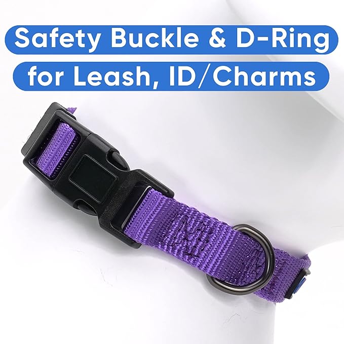 Pawtitas Adjustable Collar for Extra Small Dogs - Heavy Duty, Waterproof, Quick-Release Buckle - Purple