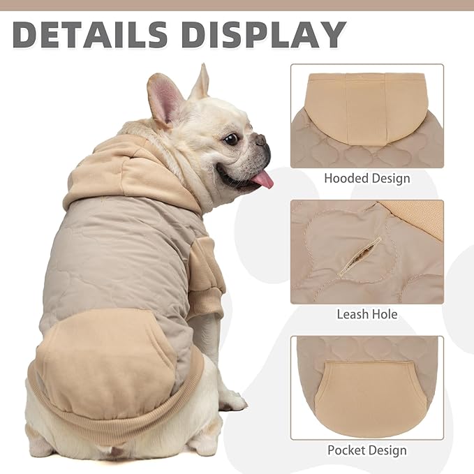 KOOLTAIL Warm Dog Winter Coat for Small Dogs, Waterproof Puppy Jacket with Leash Hole, Cold Weather Pet Vest for Winter, Soft Pet Hoodie Sweater Sweatshirt Clothes for Puppy Cats Girls Boys Beige M