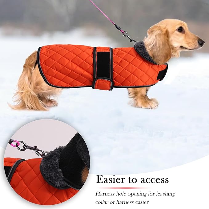 Warm Thermal Quilted Dachshund Coat, Dog Winter Coat with Warm Fleece Lining, Outdoor Dog Apparel with Adjustable Bands for Medium, Large Dog-Orange-XS