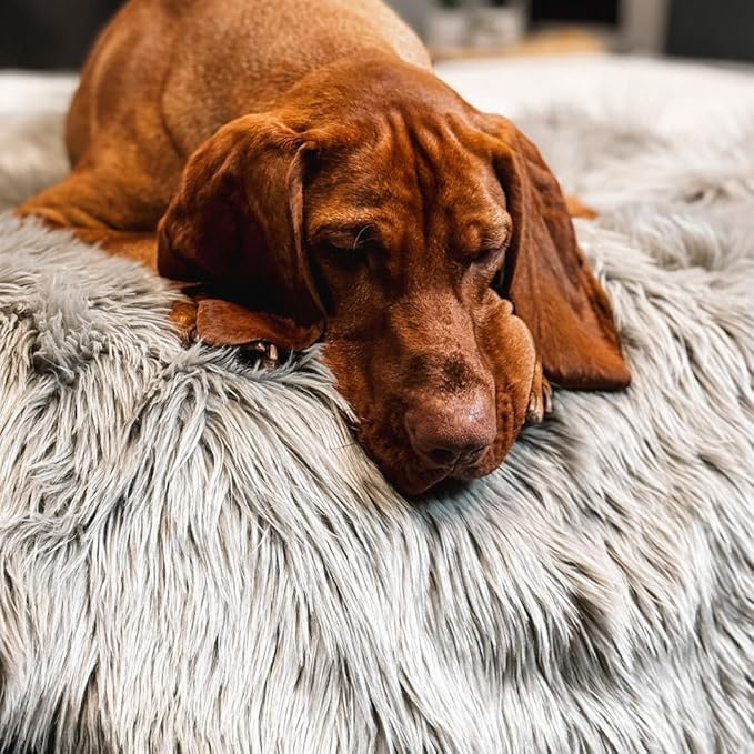 Waterproof Dog Blanket for Small, Medium & Large Dogs – Faux Fur Pet Throw for Couch, Sofa, Bed & Car – Soft, Washable, Stain-Resistant, Durable Cover – Grey – 40" x 30"