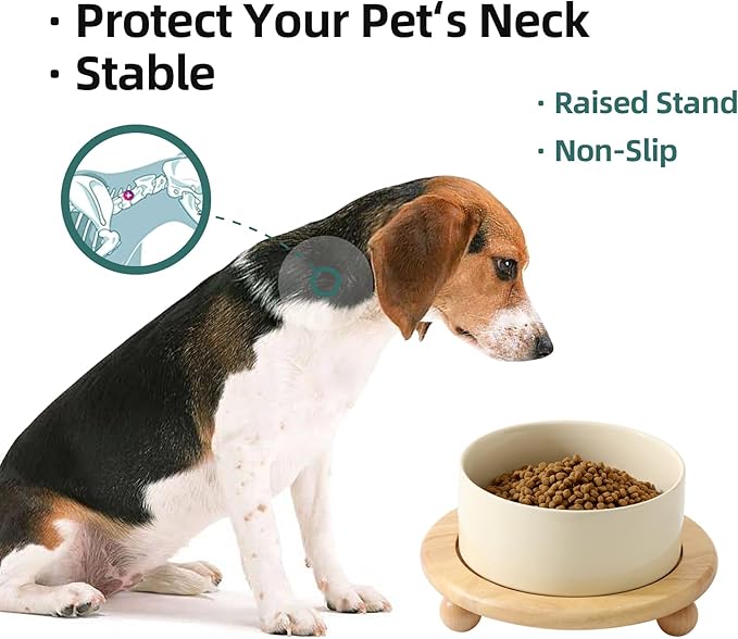 Havniva Ceramic Elevated Dog Food and Water Bowl, Kitty Bowl, Raised Dog Dish, Pet Feeder (6inch, 1 x Beige + Stand)