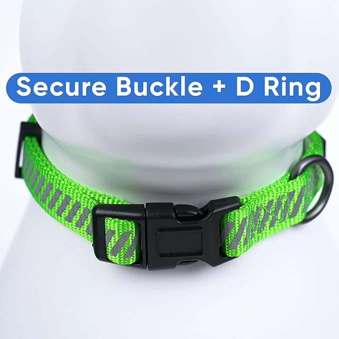 Pawtitas Reflective Dog Collar - Personalized Name & Phone Number, Adjustable for Extra Small Dogs & Puppies, Green