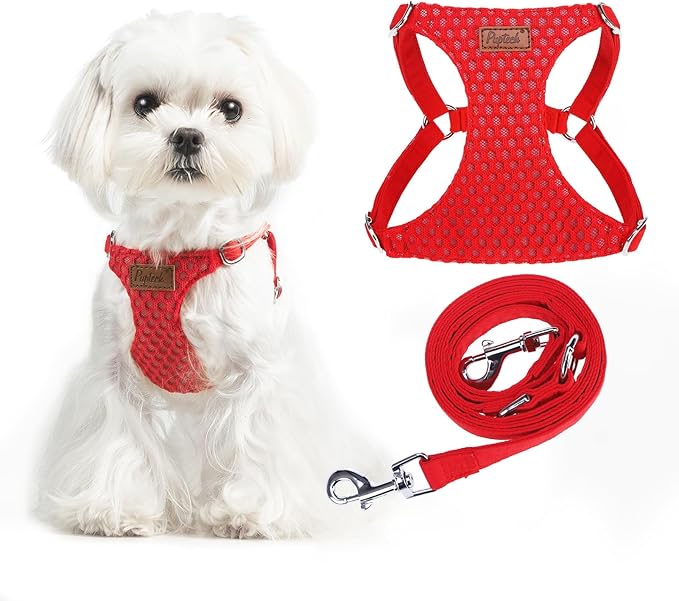 PUPTECK Dog Harness and Leash Set Small Sized, Step-in Cute Puppy Harness, Soft Lightweight Padded Vest, Escape Proof No Pull Pet Harnesses Easy for Walking, Red, XXS