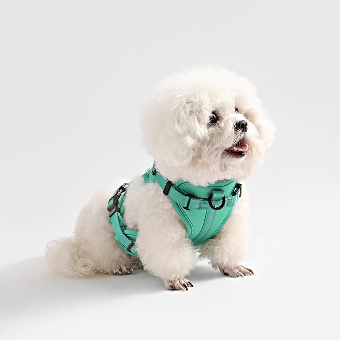 HNS1000K Arlo Extra Small Adjustable Soft Padded No Pull Pet Harness with 3 Buckles and 3 Leash Clips, Julep