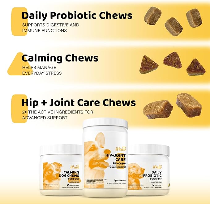 iPaw Calming Chews for Dogs, Calming Dog Treats, Separation Anxiety Relief Calming Care, Manage Everyday Stress for Puppy, Made in USA, Vegetable Flavor (50 Chews)