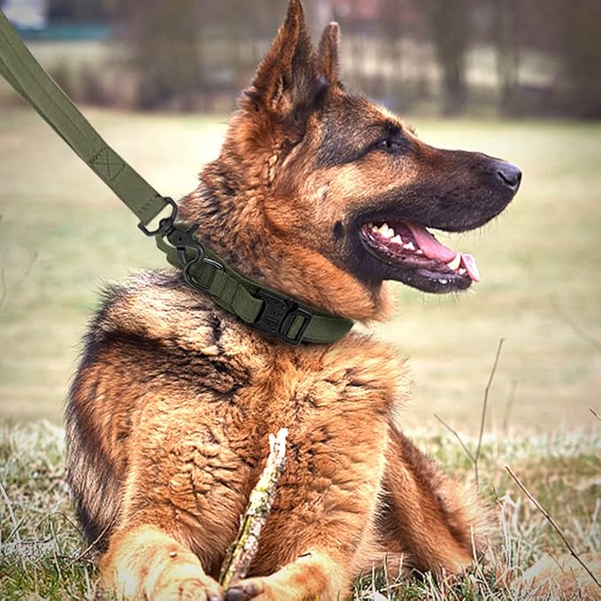 Tactical Dog Collar and Leash Set Heavy Duty Military Dog Collar with Handle and Metal Buckle for Medium and Large Dogs (Army Green, XL)