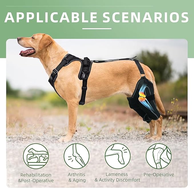 Dog Knee Brace for ACL/CCL Injuries,Torn Ligament,Pain Relief,Joint Warmth,Luxating Patella - Rear Leg Support,Both Legs,Black,(Size:L)