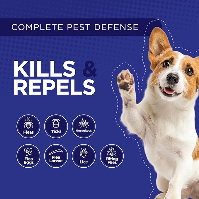 TevraPet Activate II Flea and Tick Prevention for Dogs | 4 Count | Extra Large Dogs 55+ lbs | Topical Drops | 4 Months Flea Treatment