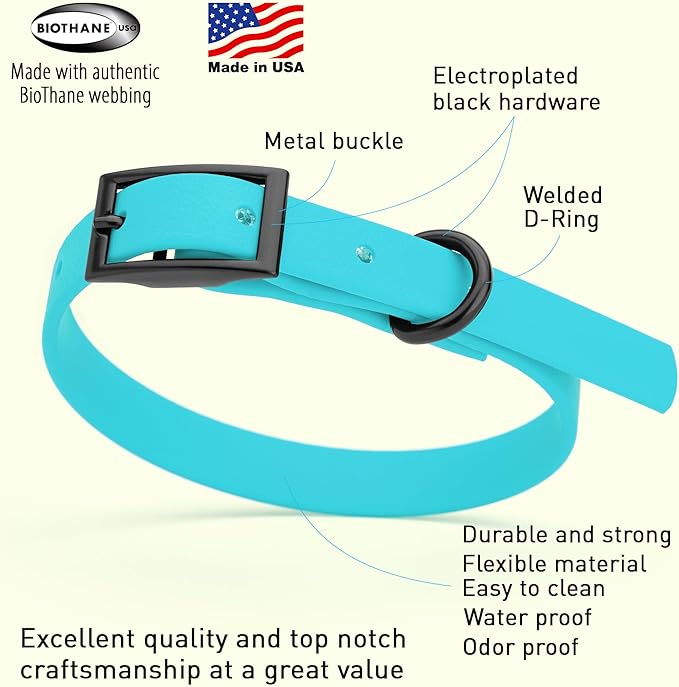Dogline Biothane Coated Webbing Dog Collar with Black Metal Hardware: Durable Easy-Clean Everyday Collar for Dogs - Comfortable Adjustable Odor-Resistant Pet Collar, W1/2" x L9-12, Sky Blue