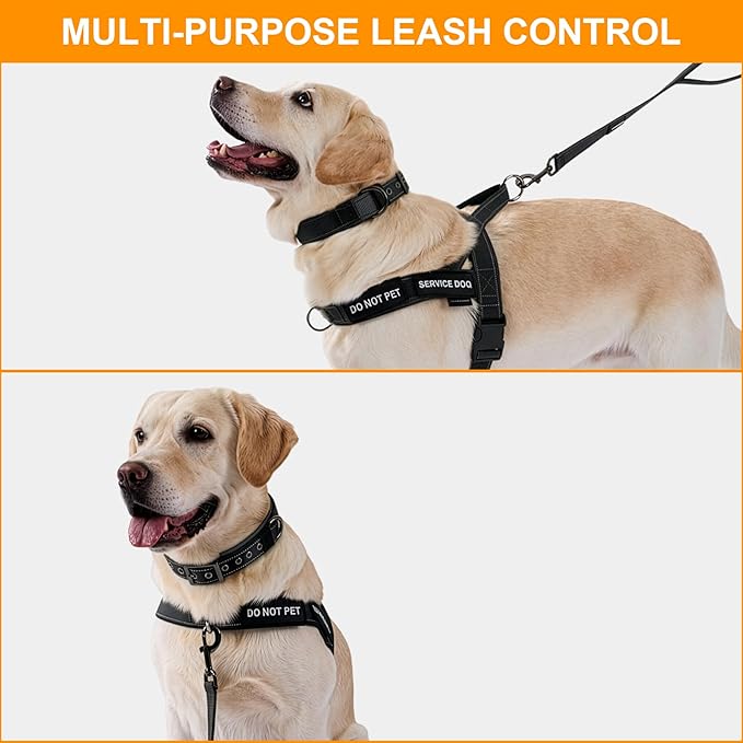 Annchwool No Pull Dog Harness, Collar & Leash Set|Reflective Dog Harness+Heavy Duty Dog Collar+Dog Leash with Double Handle & Car Seatbelt Clip|Easy for Walking Medium Large Size Dogs(Black,XL)