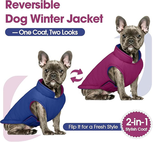 QBLEEV Reversible Dog Jacket for Small Dogs, Waterproof Windproof Warm Winter Coat with Adjustable Fit & Leash Hole, Lightweight Reversible Puffer Vest, Purple, S – Fits Yorkie, Shih Tzu