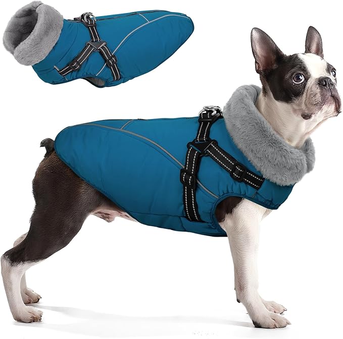 Queenmore Large Dog Coat,Dog Jacket for Extra Large Dogs with Harness Built in,Reflective Waterproof Dogs Jackets with Fleece Lining,Warm Snowsuit Pet Coats for Doberman,Labrador,Blue,XXL