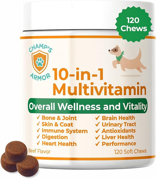Dog Multivitamin 10-in-1 with Glucosamine - Hip Joint Support, Skin & Coat, Digestive Health, Immune Boost - Salmon Oil, Probiotics, MSM - All Natural Daily Chews for Dogs All Breeds - 120 Count