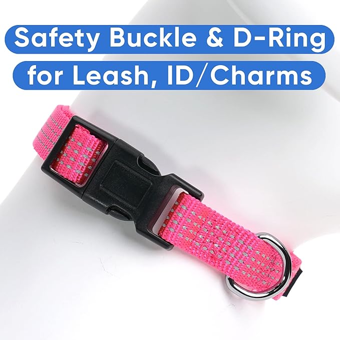 Pawtitas Reflective Dog Collar Adjustable Dog Collars for Small Dogs Puppy Collar Small Dog Collar Pink Dog Collar