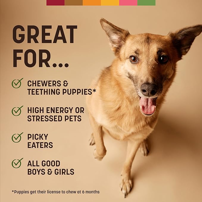 Earth Animal No Hide Strips - Natural Rawhide Free Dog Chew Strips, Pork - 16 Count