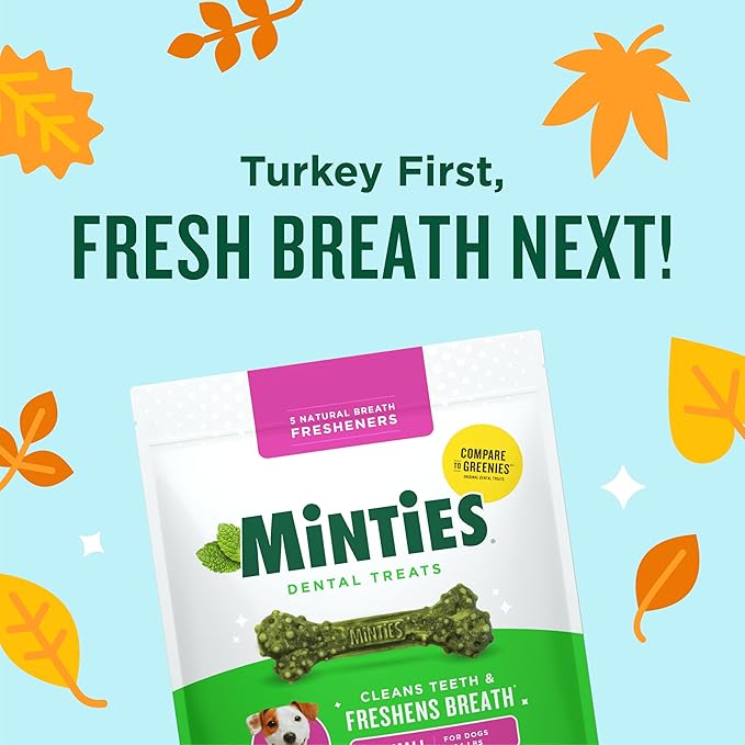 Minties Dog Dental Bone Treats, Tiny/Small Dental Dog Treats, Clean Teeth, Fight Bad Breath, Removes Plaque and Tartar, 80 Count