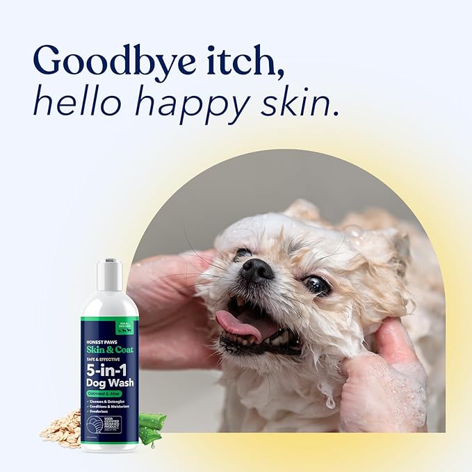 Honest Paws Dog Shampoo and Conditioner - Premium Dog Wash for Allergies and Dry, Itchy, Moisturizing for Sensitive Skin - Sulfate Free, Plant Based, All Natural - Oatmeal & Aloe -16 Fl Oz