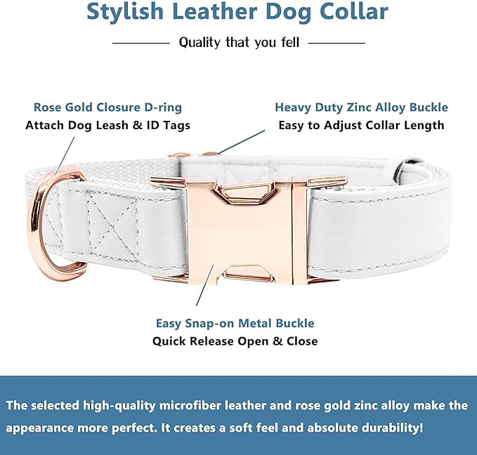 Soft Leather Dog Collar and Leash (6.6') Set - Stylish Rose Gold Heavy Duty Metal Buckle, 4 Adjustable Lengths Leash for Small Medium Large Dogs - Comfortable & Easy to Clean White XS(8"-12")