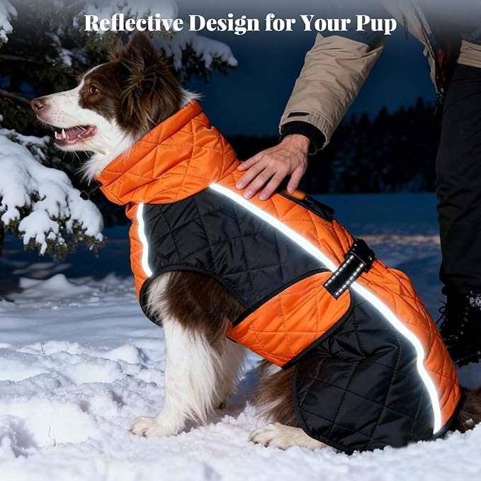 Dog Coat Dogs Jacket Waterproof Reflective Adjustable Dog-Winter Coats for Small/Medium/Large Dogs Dachshund Coat-(Orange, X-Small)