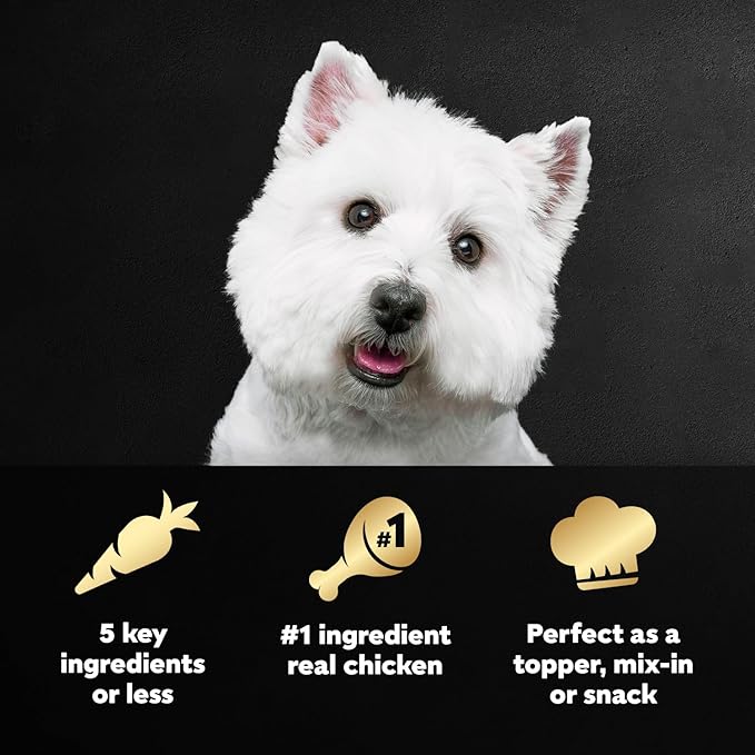 Cesar Simply Crafted Adult Wet Dog Food Meal Topper, Chicken, Carrots & Green Beans, 1.3 oz. Tubs, 10 Count (Pack of 1)