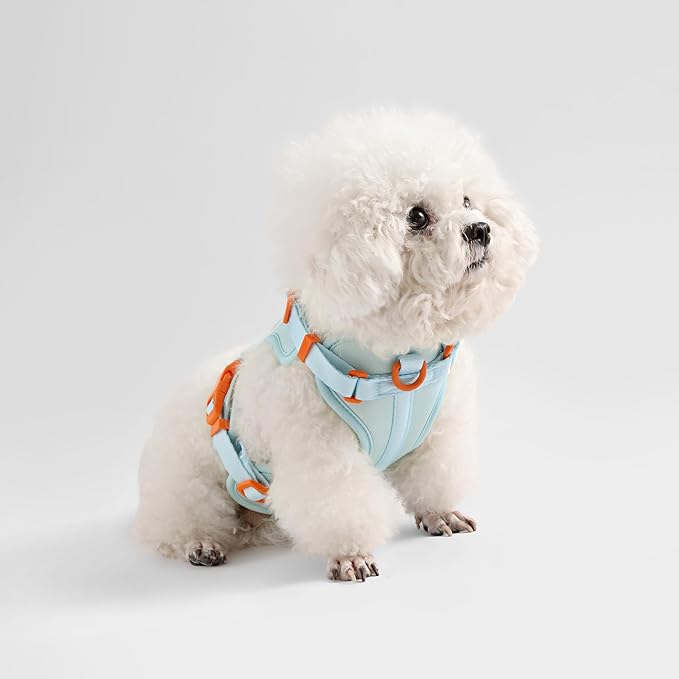 HNS1000D Arlo Extra Small Adjustable Soft Padded No Pull Pet Harness with 3 Buckles and 3 Leash Clips, Fishbowl