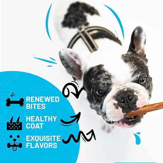 Sitka Farms Bully Sticks 6 inch - 20 Count - Bully Sticks All Natural Dog Treats from Free Range Grass-Fed Beef, Grain & Rawhide Free - Long Lasting Chew for Aggressive Chewers