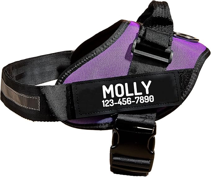 PawPawify Custom No Pull Dog Harness with Name and Phone Number, Heavy Duty Personalized Pet Vest to Prevent Tugging, Pulling, or Choking, Training and Walking (Purple, L (Chest 23-30in))