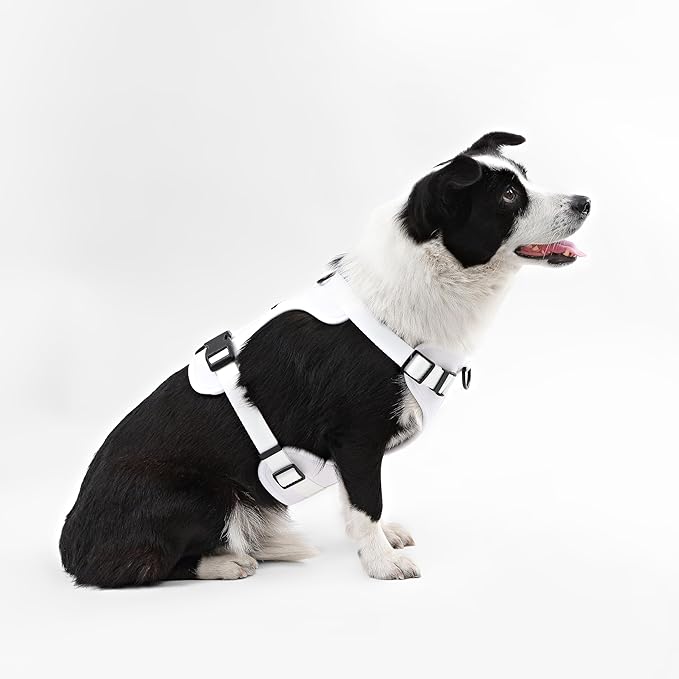 HNS1003F Arlo Large Adjustable Soft Padded No Pull Pet Harness with 3 Buckles and 3 Leash Clips, Seltzer