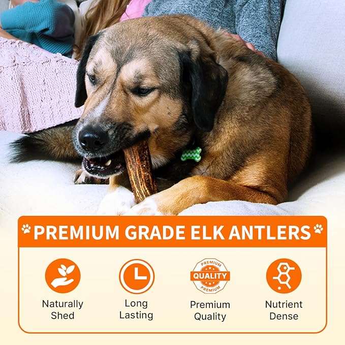 Tibetan Elk Antler for Dogs, Grade-A, 4"+ Premium Chews, Naturally shed Healthy & Longer Lasting Aggressive chewers, USA Product Antler (Split)