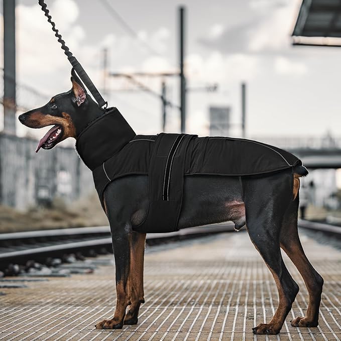 OneTigris Dog Coat Waterproof Dog Jacket with Adjustable Buckle Hook & Loop Windproof Cold Weather Coats for Small Medium Large Dogs (Black, Large)