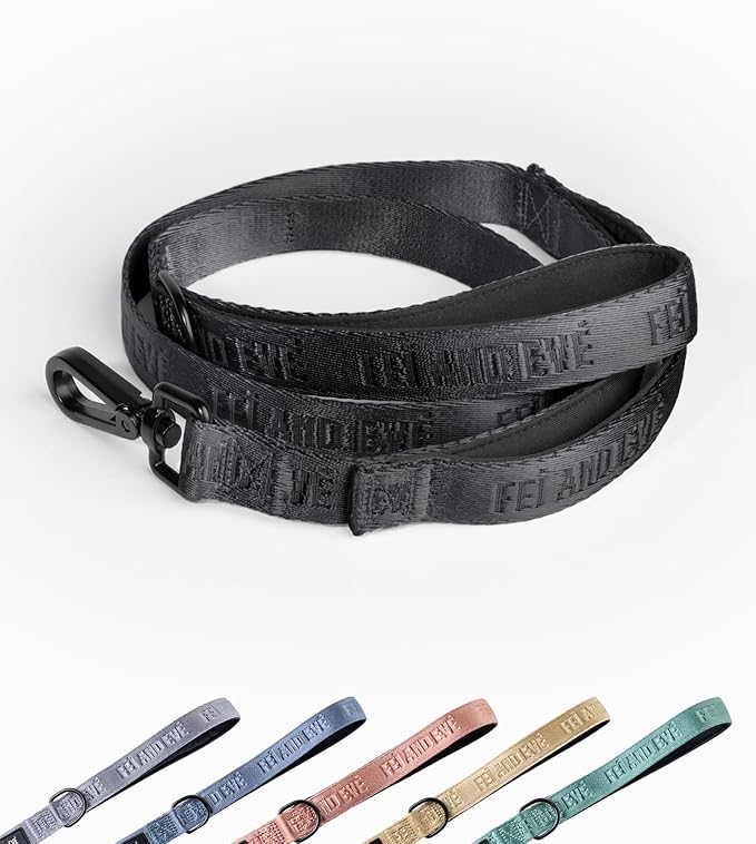 2025 New Edition, Fei & Eve Classic Dog Leash - 4FT, Dual Padded Handles, 360° Swivel Hook, Heavy Duty 210D Nylon - No-Pull Design with Traffic Control Handle - for Small/Medium/Large Dogs, Black