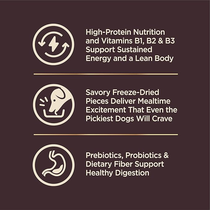 Wellness CORE+ Dry Dog Food with Freeze Dried Pieces, Small Breed, Wholesome Grains, High Protein, Natural, Original Turkey & Chicken Recipe, (4-Pound Bag)