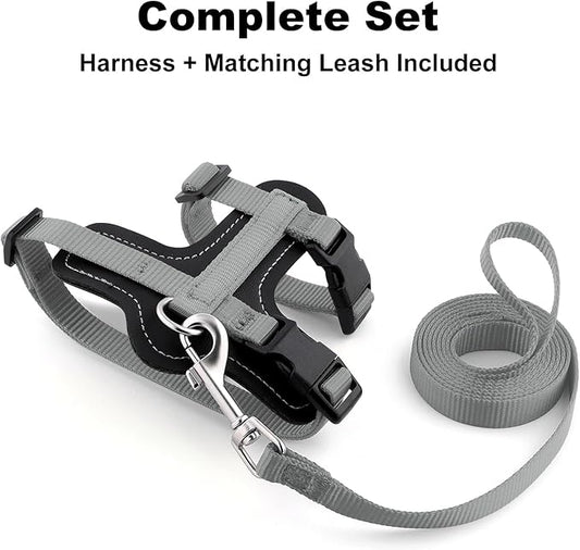 Plutus Pet Adjustable Cat Harness and Leash Set, Quick Release, Escape Proof Nylon Vest with Leather Trim for Kitten, Small Medium Large Cats, Gray