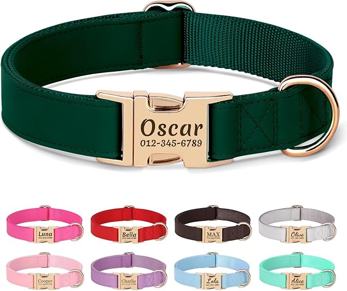 PET ARTIST Personalized Dog Collars, Custom Dog Collar with Engraved Silent Name Tag, Gold Quick Released Buckle & Soft Nylon Padded, Elegant Colors & Matching Leash for Small Dogs,Green,S Fit 9-14"