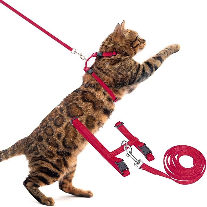 PUPTECK Adjustable Cat Harness and Leash Set Escape Proof Kitten Strap Collar for Walking Travel, Red, M
