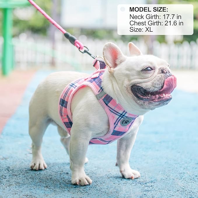 BEAUTYZOO Small Dog Harness and Leash Set,Step in No Choke No Pull Soft Mesh Dog Harnesses Reflective for Extra-Small/Small Medium Puppy Dogs and Cats, Plaid Dog Vest Harness for XS S Pets, Pink M