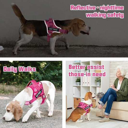AUROTH Dog Harness and Leash Set, Soft Padded Service Dog Vest with 5.25FT Dog Leash, No Choke, Easy On Pet Vest, Adjustable Reflective No Pull Dog Harness Small Sized Dog, Easy Walking and Training