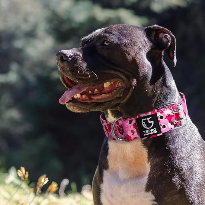 TSPRO Tactical Dog Collar, Adjustable, with Patch & Double Needle Metal Buckle, Heavy Duty for Medium to Large Dogs, Durable for Walking, Running, Hiking & Training (Camo Green M+)