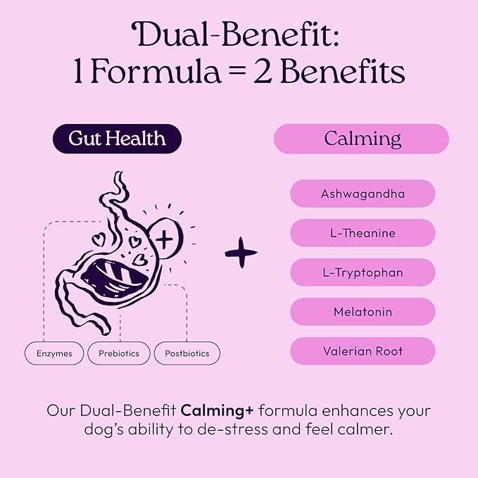 WellJoy Dog Supplement Calming+ GutBoost | Dog Health Supplement | Promotes Relaxation & Calmness | Dual-Benefit GutBoost Formulation | Vet Formulated | USA Made | Chicken Flavor | 90 Soft Chews