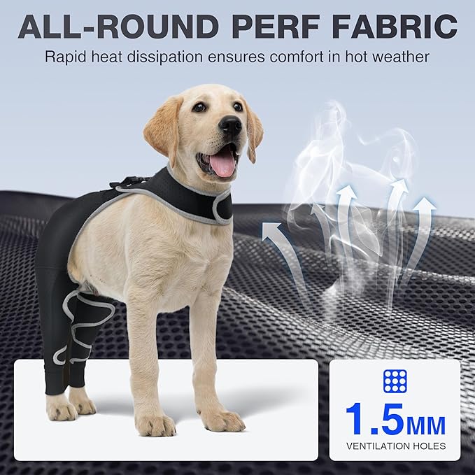 Dog Hind Leg Sleeve to Stop Licking – Breathable Rear Leg Brace with Back Buckle for Wound Protection, Reflective Recovery Sleeve, Cone Alternative – Size XS
