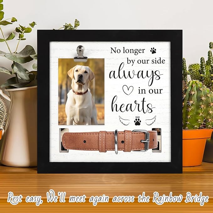 Pet Memorial Gifts, Pet Remembrance Picture Frame for Loss of Dog, Memorial Frame with Collar Holder for Pet Passed Away Sympathy Gifts