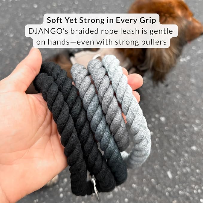 DJANGO Cotton Rope Dog Leash 5ft – Handcrafted Dog Leash and Black Ombre Braided Leash for Small, Medium, and Large Dogs – Stylish Durable 5 Foot Training Lead with Silver Hardware – Poppy Seed Gray