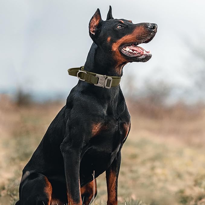 Tactical Dog Collar with Handle - Military Adjustable Dog Training Collar Soft Nylon and Heavy Duty Metal Buckle for Medium Large Dogs - with Patch (Green, X-Large)