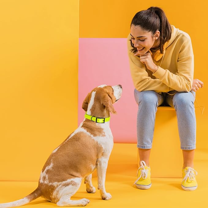 Dogline Biothane Coated Webbing Dog Collar with Black Metal Hardware: Durable Easy-Clean Everyday Collar for Dogs - Comfortable Adjustable Odor-Resistant Pet Collar, W1 x L22-25", Safety Yellow
