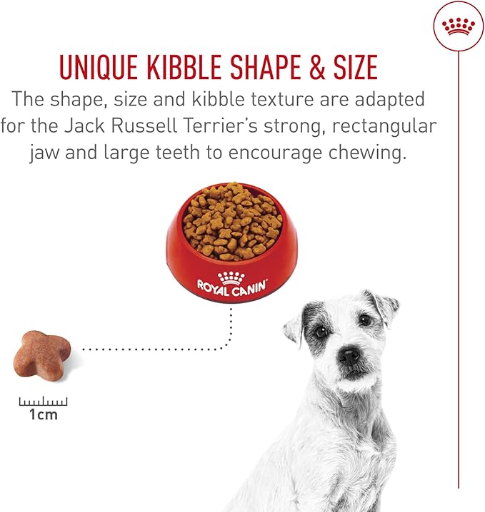 Royal Canin Breed Health Nutrition Jack Russell Terrier Adult Dry Dog Food, 10 lb Bag