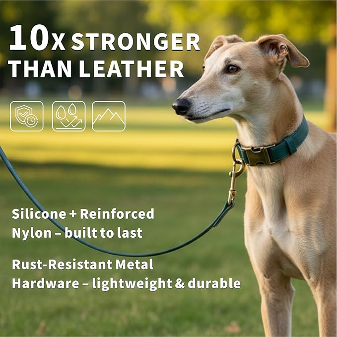 Silicone Dog Collar and Leash Set, Waterproof & Odor-Proof Puppy Collar for Large Dogs, Soft Flexible Leather-Look Dog Collars, Durable Thick Adjustable Pet Collar (Green, Large (14.5-24" Neck))