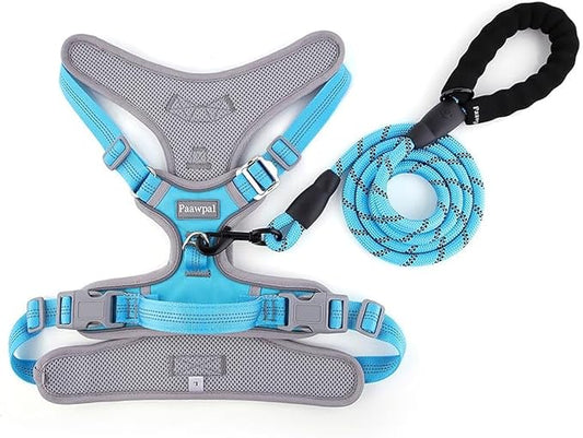 Adjustable Dog Harness - No Pull, Reflective, Soft Padded for Small, Medium, Large Dogs - Includes Leash Turquoise M