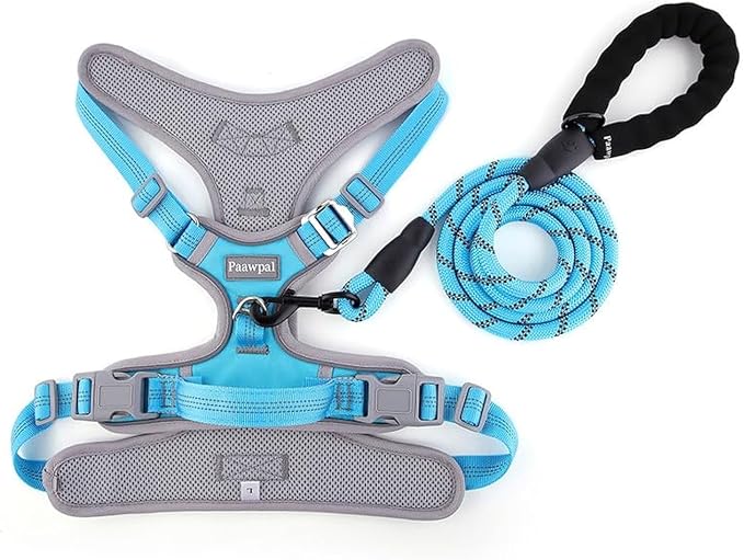 Adjustable Dog Harness - No Pull, Reflective, Soft Padded for Small, Medium, Large Dogs - Includes Leash Turquoise S