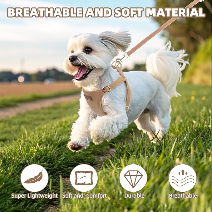 PUPTECK Dog Harness and Leash Set Small Sized, Step-in Cute Puppy Harness, Soft Lightweight Padded Vest, Escape Proof No Pull Pet Harnesses Easy for Walking, Khaki, M