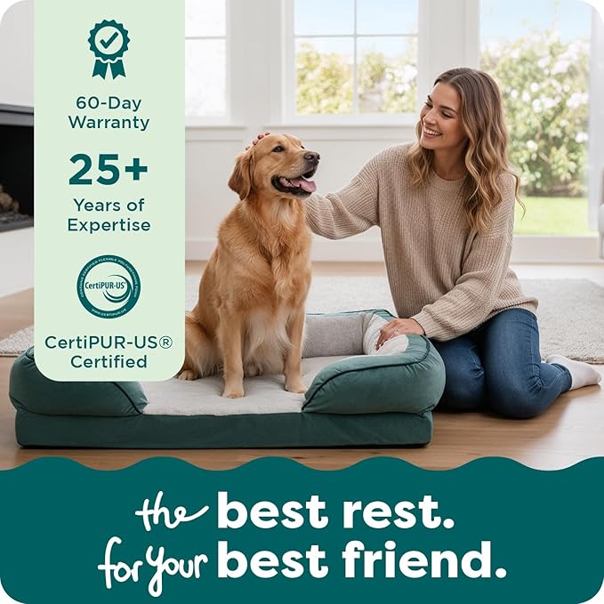 FurHaven Cooling Gel Dog Bed for Large Dogs, Comfort Sofa Bed with Cool Gel-Top Foam and a Solid Orthopedic Foam Base for Joint Support, Washable Cover, Jumbo/XL, Plush & Velvet, Celadon Green
